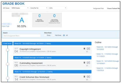 CA Assignment View Website