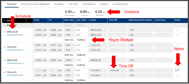 Timesheet information 