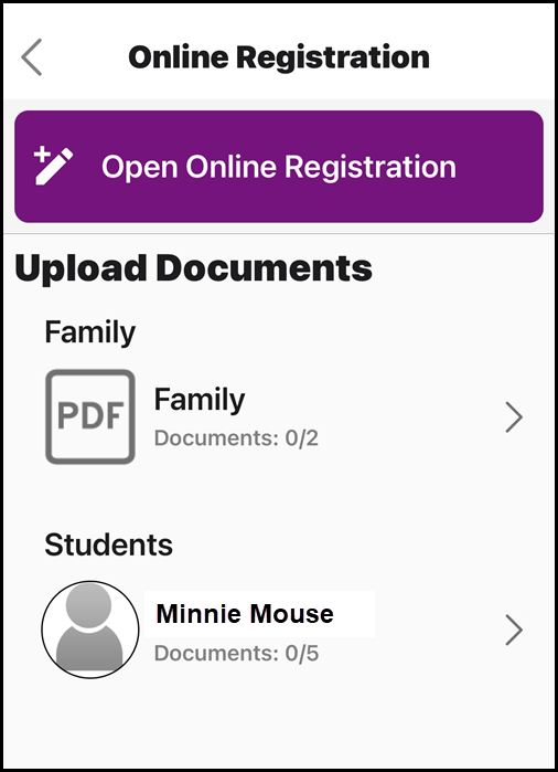 Online Registration Upload Documents Section