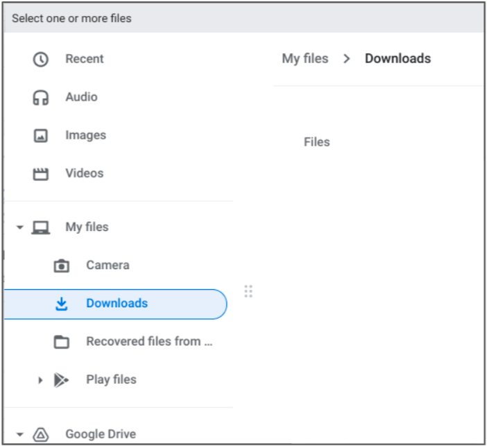 downloads folder menu selection