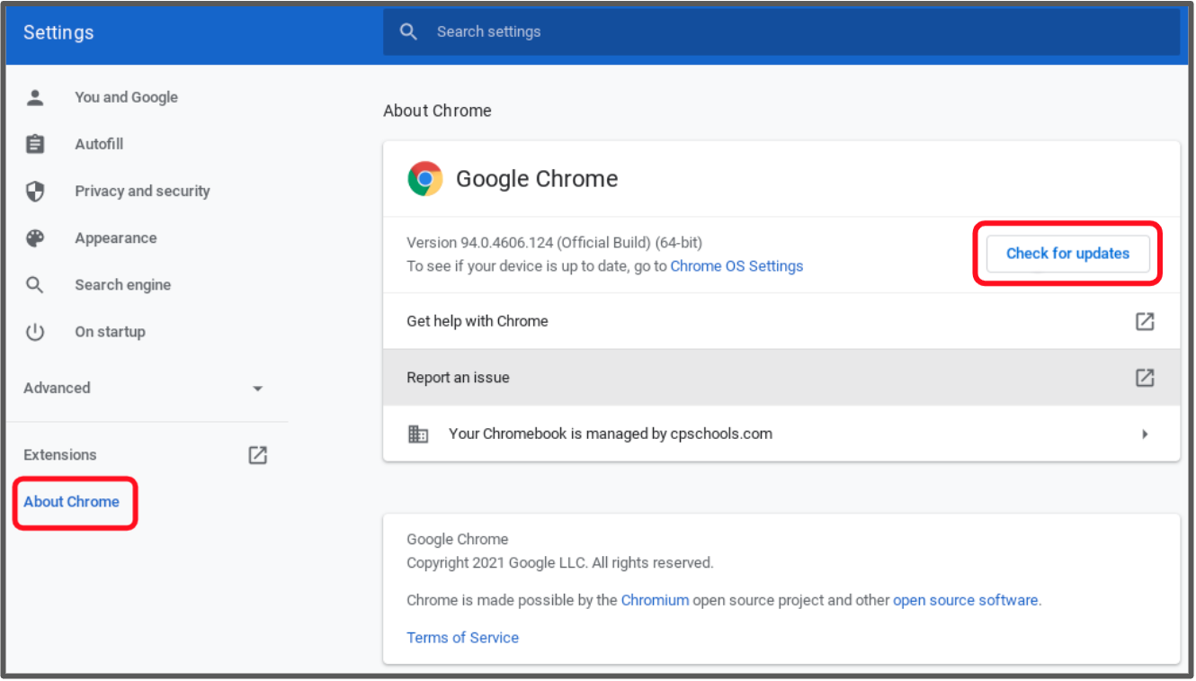 chrome browser check for update